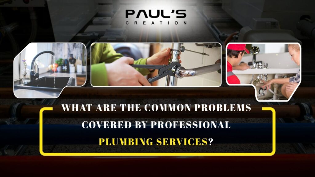 What are the common problems covered by professional plumbing services?