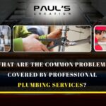 What are the common problems covered by professional plumbing services?